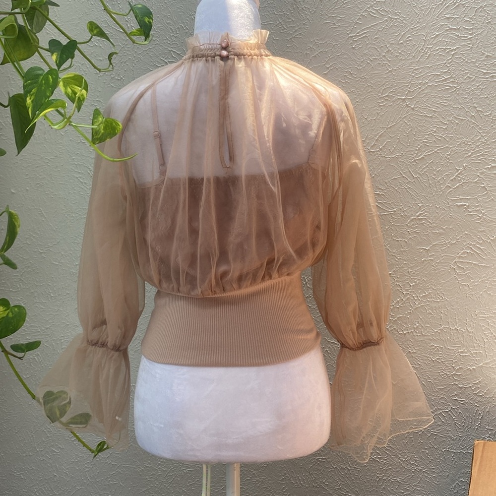 Lily Brown Mesh Elegant Sheer Tan Blouse, Light Brown Blouse,Strapless Blouse - Picture 6 of 12